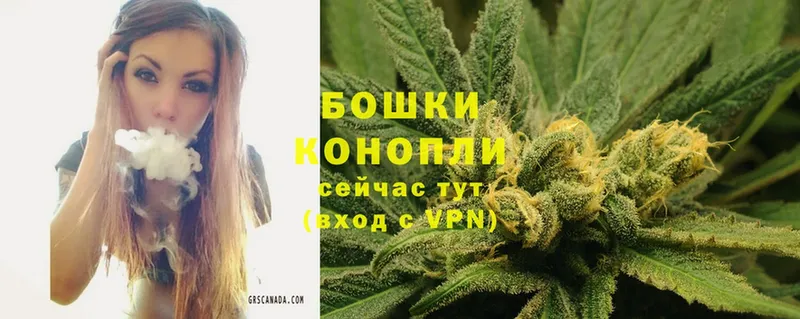 купить закладку  shop формула  Шишки марихуана Ganja  Николаевск-на-Амуре 